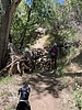photo thumbnail #1