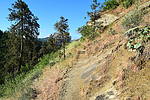 photo thumbnail #7