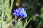 photo thumbnail #14