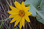 photo thumbnail #8