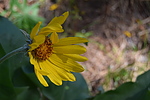 photo thumbnail #9