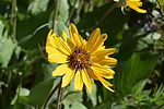 photo thumbnail #13