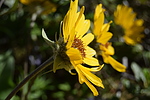 photo thumbnail #15
