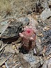 photo thumbnail #13