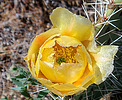photo thumbnail #14