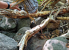 photo thumbnail #15