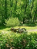 photo thumbnail #9