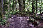 photo thumbnail #7