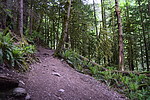 photo thumbnail #14