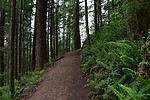 photo thumbnail #15