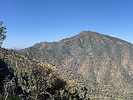 2021-05-22 :1: Four Springs / Santa Rita Crest Loop :: andrewp