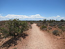 photo thumbnail #4