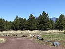 photo thumbnail #3