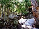 photo thumbnail #13