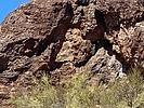 photo thumbnail #7