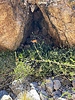 photo thumbnail #15