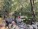 photo thumbnail #3