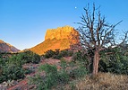 2021-05-23 :1: Airport Loop Trail :: tibber