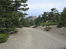 photo thumbnail #7