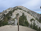 photo thumbnail #12