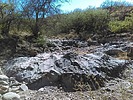 photo thumbnail #10