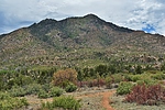 photo thumbnail #6