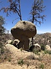 photo thumbnail #8