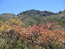 photo thumbnail #2