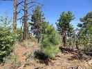 2021-05-29 :2: Florida Canyon Trail #145 :: Jim