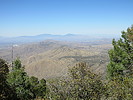 photo thumbnail #4