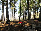 photo thumbnail #6