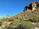 photo thumbnail #7