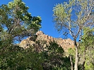 photo thumbnail #9