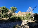 photo thumbnail #13