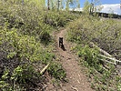 photo thumbnail #3