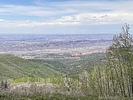 photo thumbnail #4