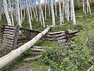 photo thumbnail #9