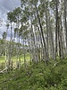 photo thumbnail #11