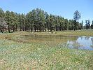 photo thumbnail #8