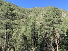 photo thumbnail #12
