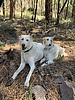 photo thumbnail #13