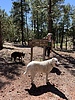 photo thumbnail #14