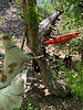 photo thumbnail #8