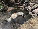 photo thumbnail #14
