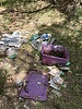 photo thumbnail #5
