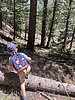 photo thumbnail #2