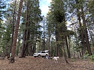 photo thumbnail #9