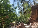 photo thumbnail #10