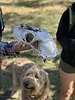 photo thumbnail #4