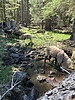 photo thumbnail #7